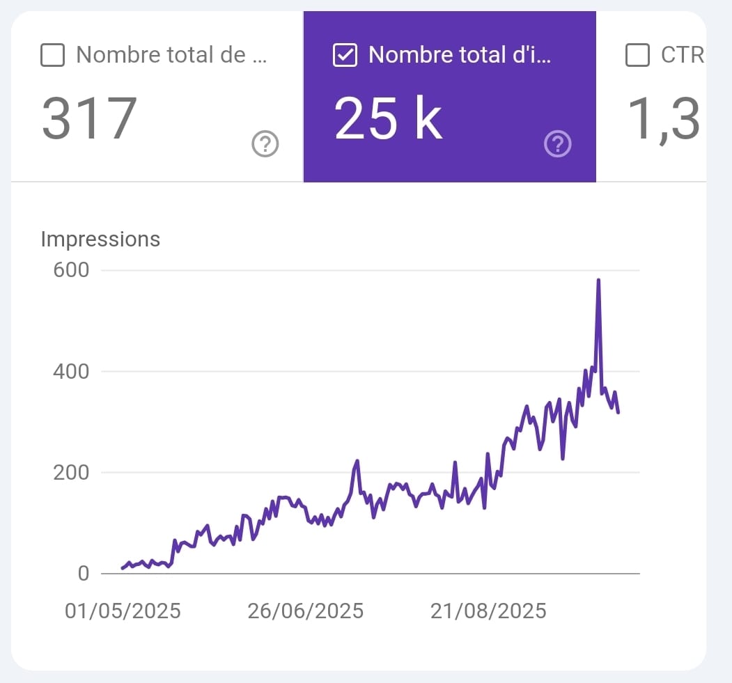 webmaster WordPress experte SEO freelance spécialisée dans la création de sites vitrines et e-commerce WordPress et WooCommerce pour entrepreneures, Agence Nour